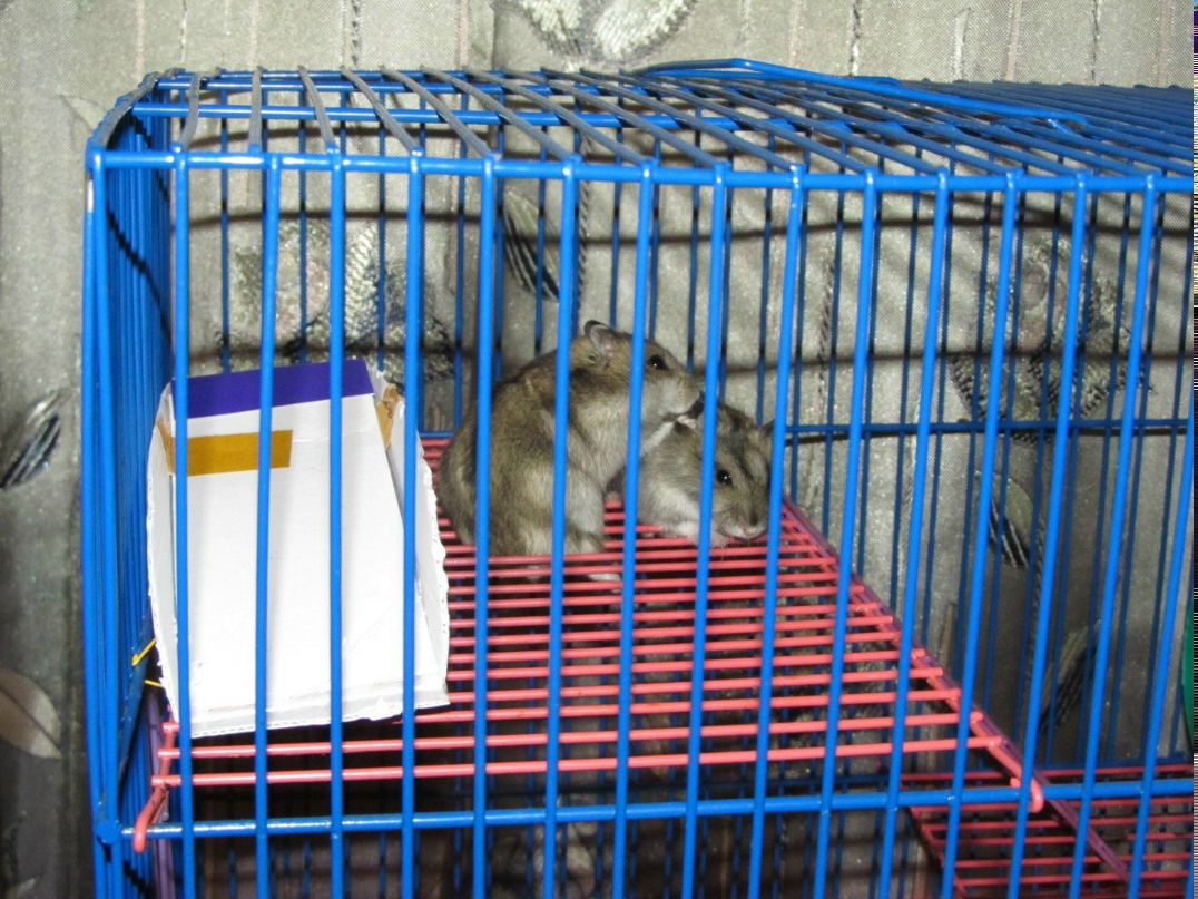 Татьяна Белоусова | Санкт-Петербург