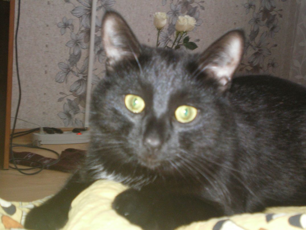 Лариса Гумерова | Уфа