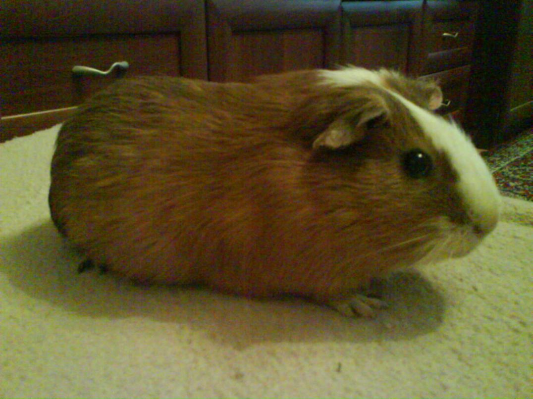 Танюля Емельянова ♥ Теssик ♥ | 