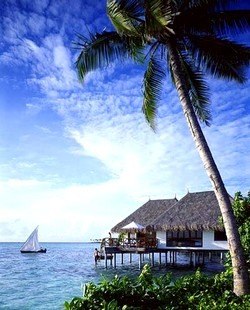 Вероника Тарасова | Красноярск