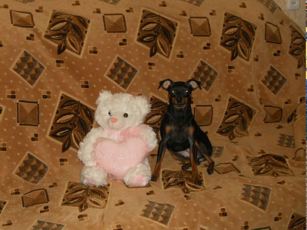 Анастасия Осадчая Сергеевна | Москва