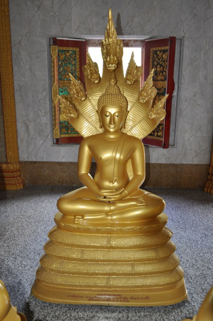 Елена Князева | Иваново