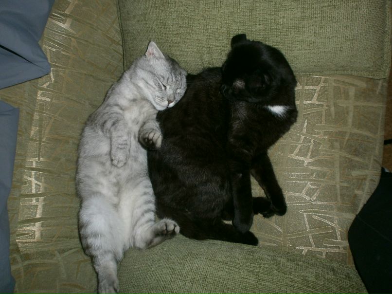 Ксения Ахметова | Тольятти