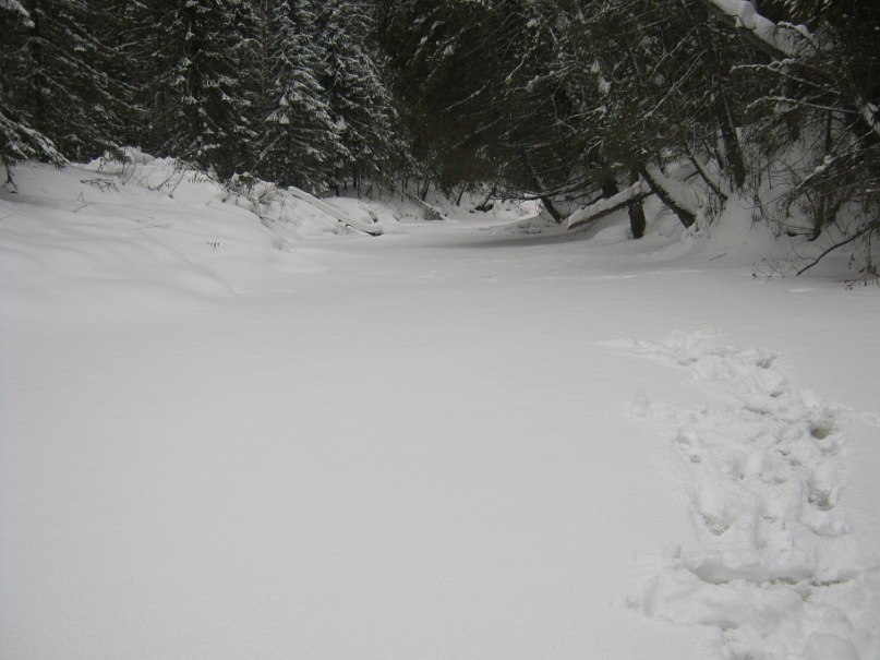 Александр Пупышев | 