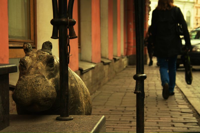 Александр Цимбалов | Москва