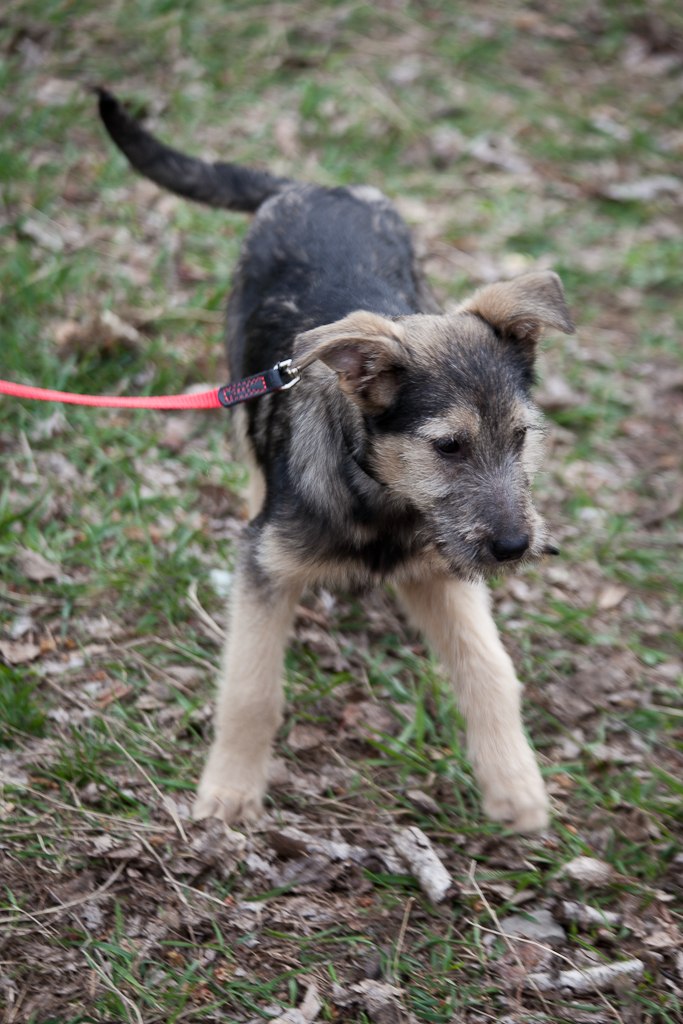 Татьяна Кривенко | Киев