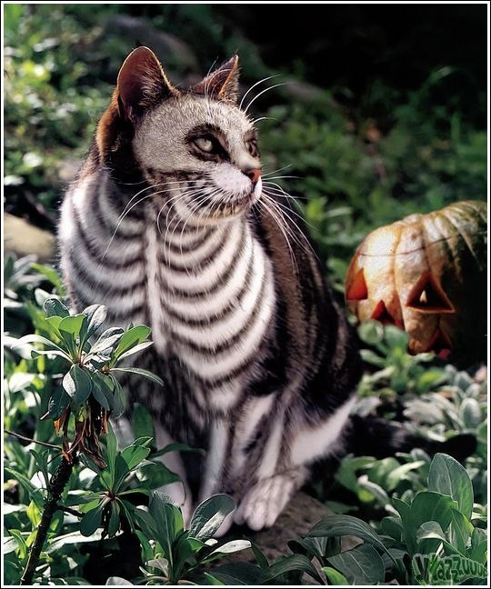 Игорь Дерюгин | Ульяновск