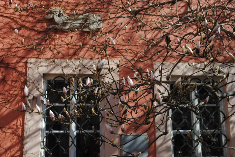 Анна Тимошкова | Москва