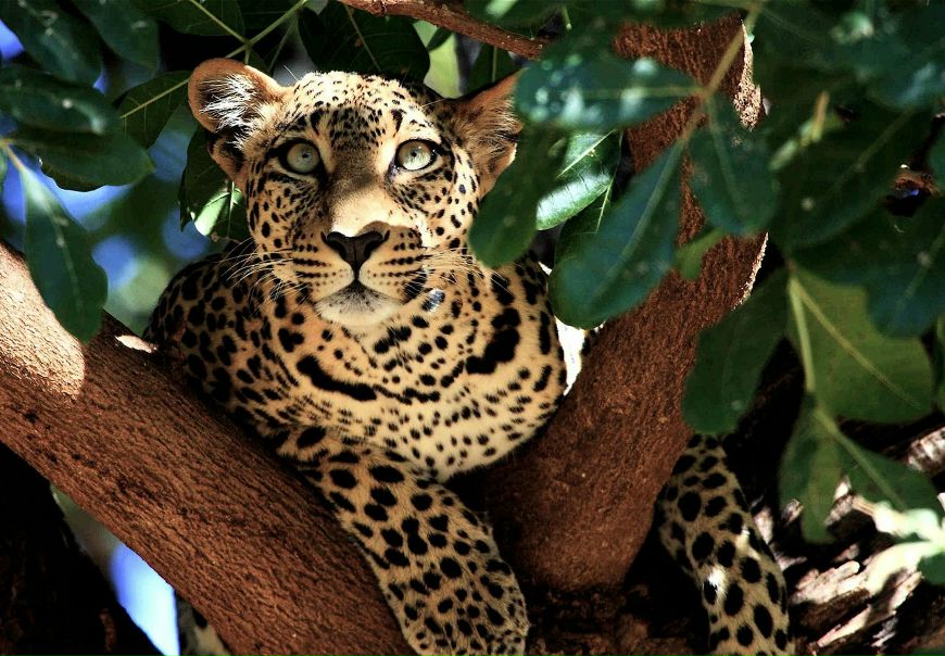 №72, Наталья Кравченко, Москва №72, Наталья Кравченко, Москва