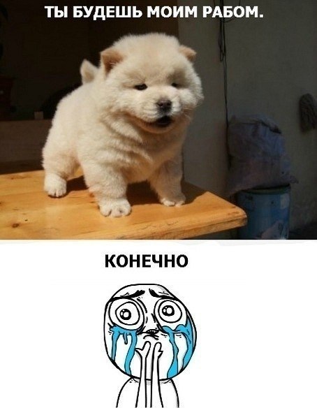 №33, Макс Бударников, Москва №33, Макс Бударников, Москва