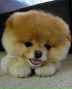 №10 Кристина Мелконян : профиль, фото, статус - ВКонтакте