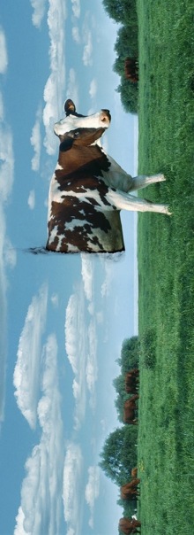 №33, Fan-Page Стс, 31 год, Москва №33, Fan-Page Стс, 31 год, Москва