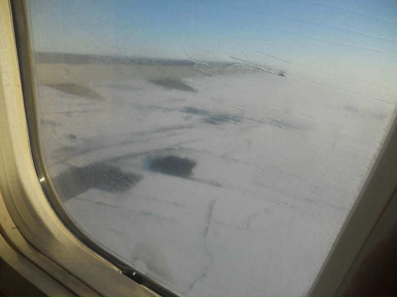 Дмитрий Шкильный Шурикович | Калининград