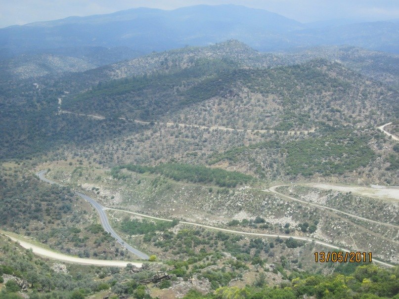 Евгений Заварский Александрович | Липецк