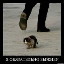 №38 Айка Алиева 14.01: профиль, фото, статус - ВКонтакте №38 Айка Алиева 14.01: профиль, фото, статус - ВКонтакте