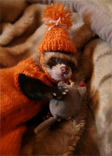 №154, Вероника Кричевцова, Люберцы №154, Вероника Кричевцова, Люберцы