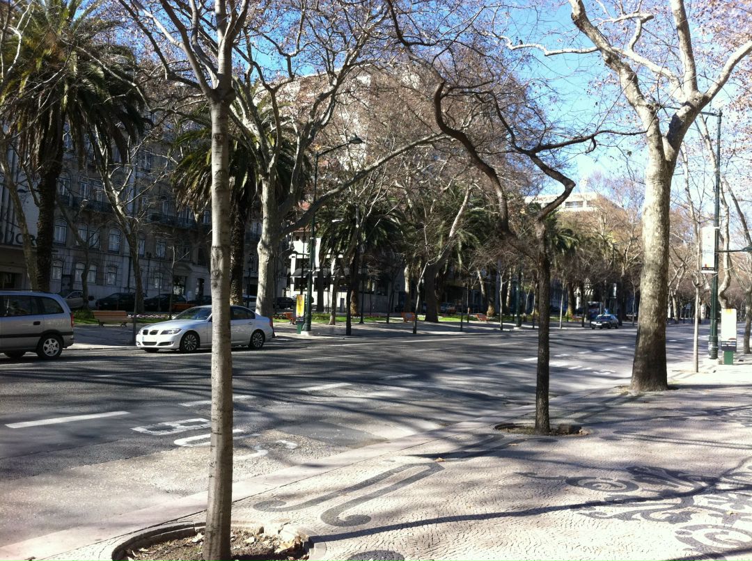 Глеб Давыдов | Санкт-Петербург