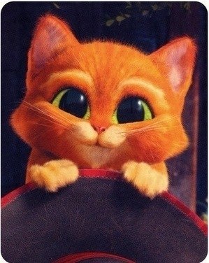 Вероника Борисова | 