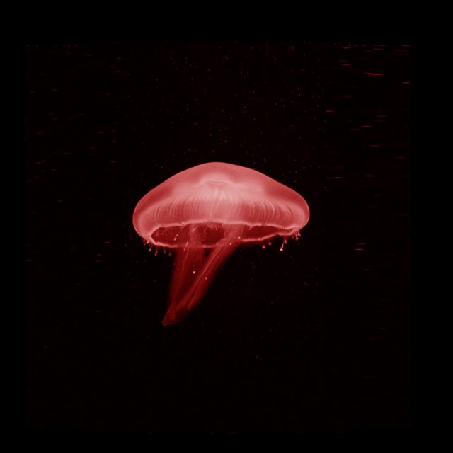 Дмитрий Егоров | Москва