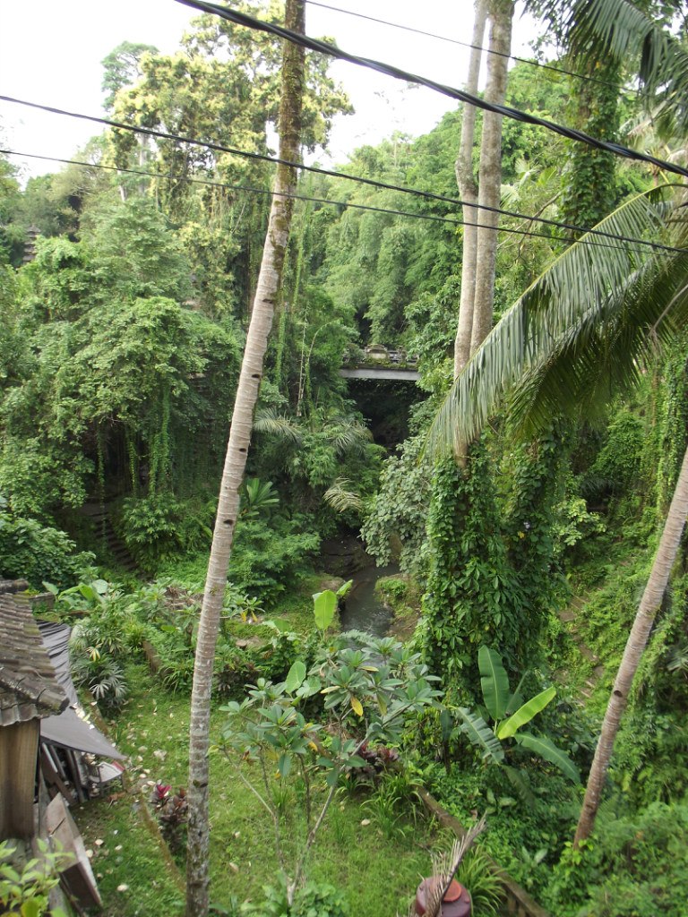 Ирина Зубкова | Тель-Авив