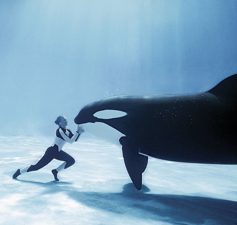 Юля Зотова | Днепр (Днепропетровск)