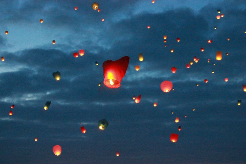 Светлана Филип | 