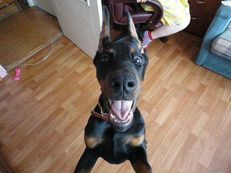 Татьяна Петрова | Санкт-Петербург