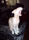 Фотография Игорь Харлугин