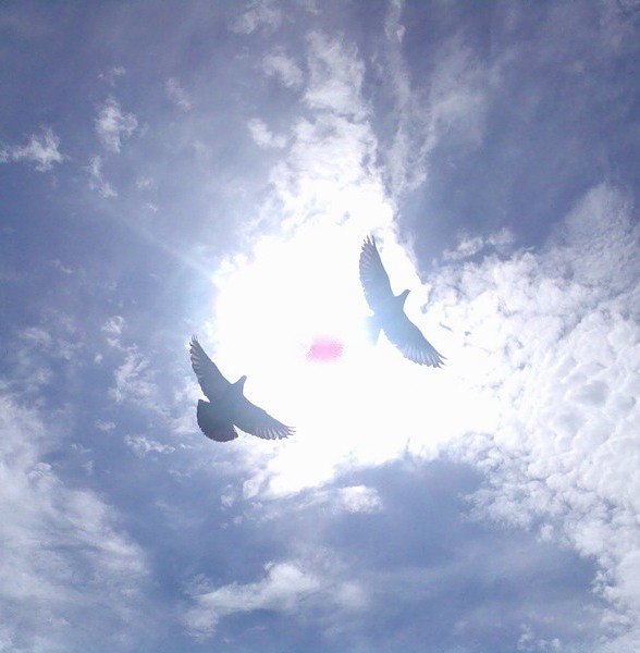 №42, Валерия Выткалова, 33 года, Чехов №42, Валерия Выткалова, 33 года, Чехов