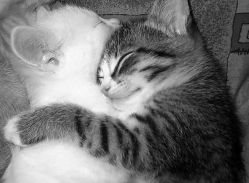 №177, Елена Филимонова, 47 лет, Киев №177, Елена Филимонова, 47 лет, Киев