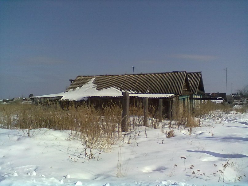 Светлана Ускова | Нижний Тагил
