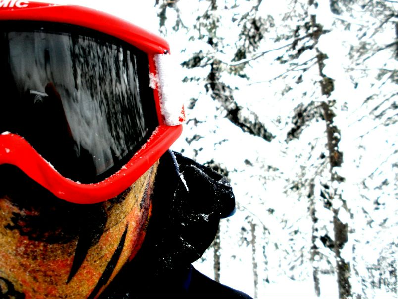 №31, Роман Пожидаев №31, Роман Пожидаев