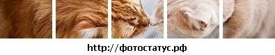 №18 Екатерина Кособокова 07.11.1992: профиль, фото, статус - ВКонтакте