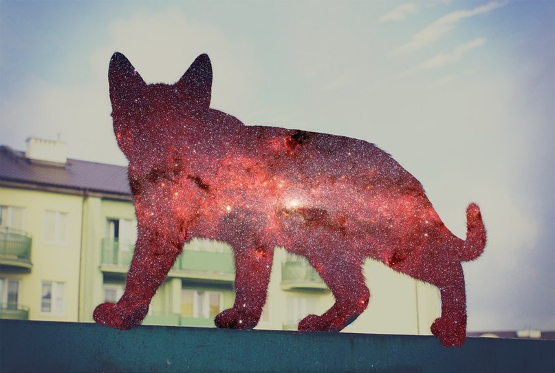 Misha Pospelov | Красноярск