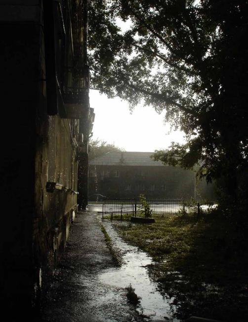 Миша Бережных | Екатеринбург