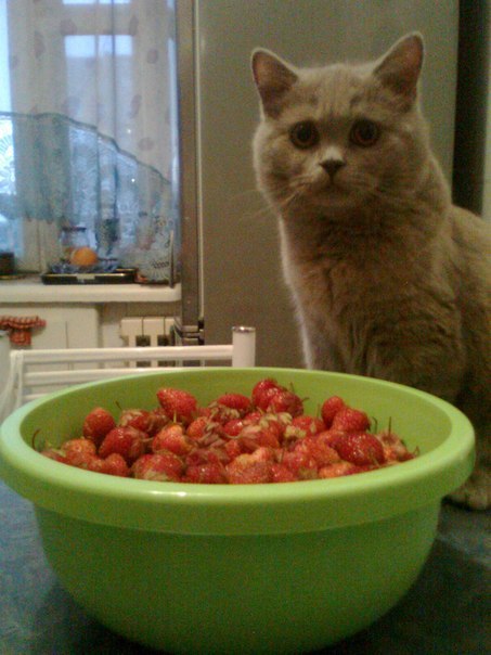 Серёжа Лаптев | Кемерово