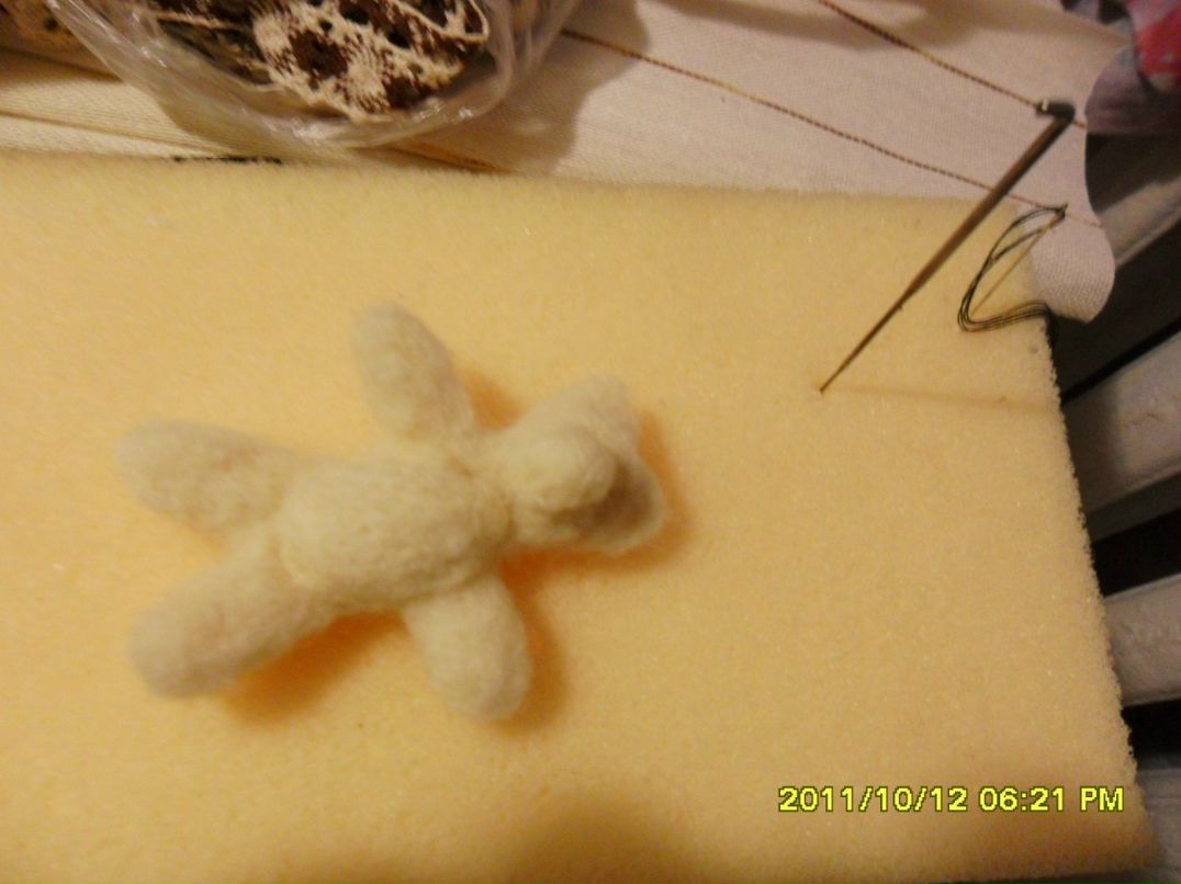 Антонина Пасичнюк | Черкассы