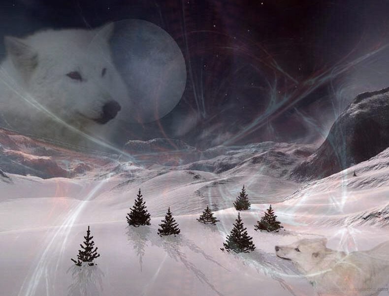 Николай Горячев | Куровское