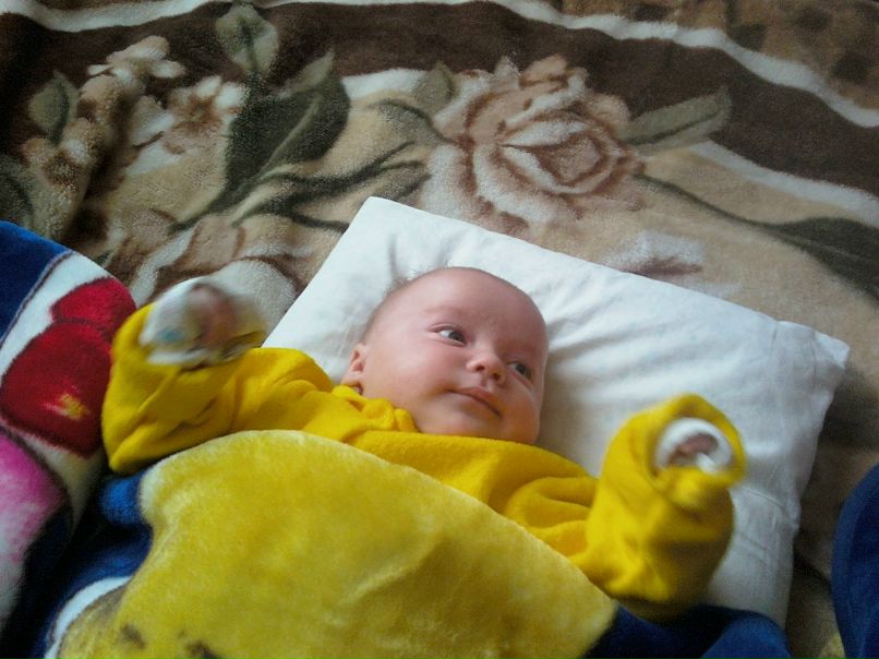 Татьяна Чистякова ~♥ღ♥~ | Хвойная