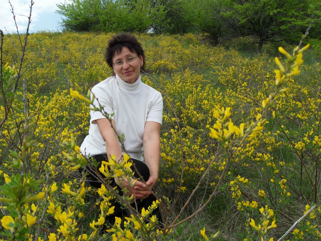 Ирина Каширина | Новониколаевский