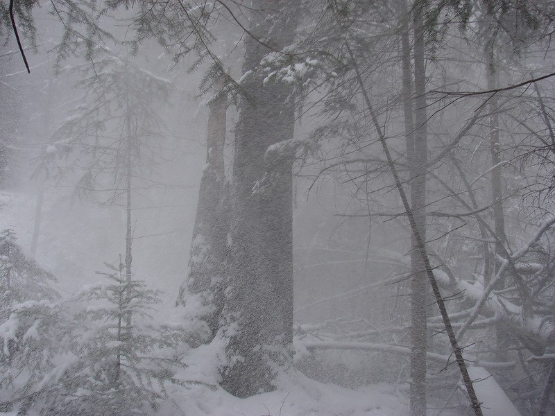Артур Пронин | Москва
