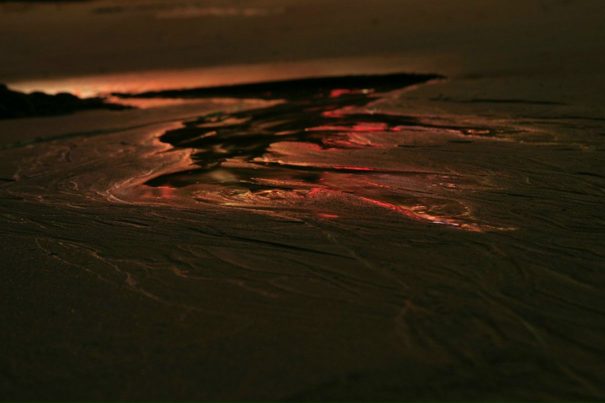 Вероника Ильинская | Москва