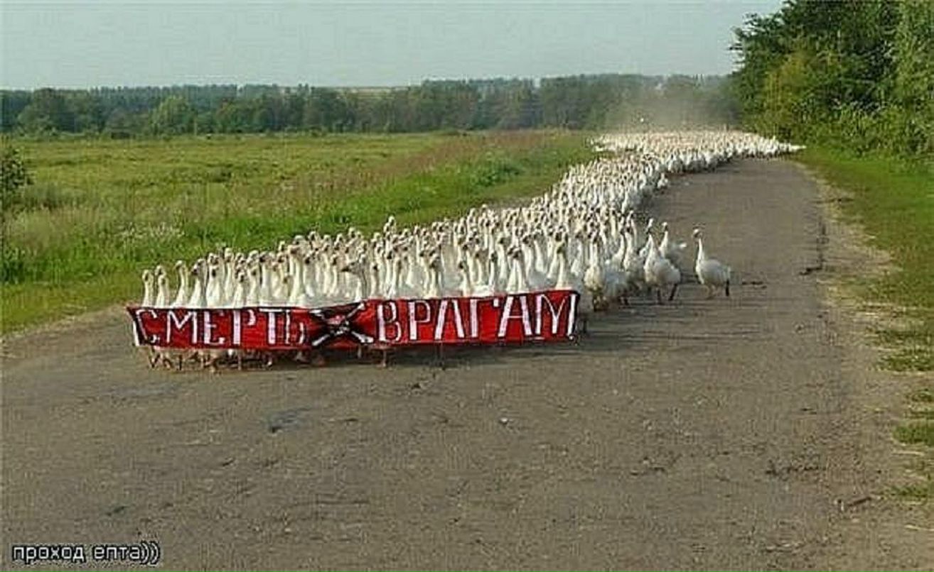 Дмитрий Карасев ⎷⎛ | Люберцы