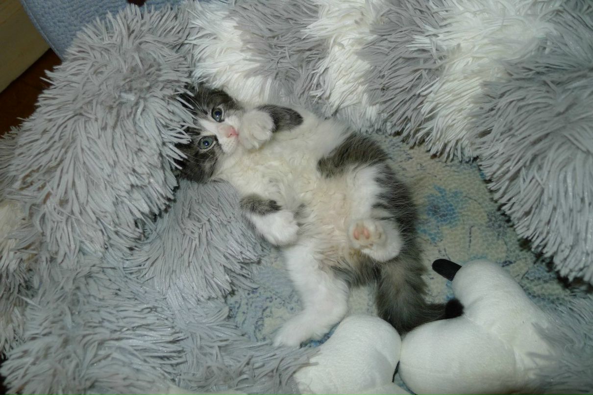 Настена Абрамова | Санкт-Петербург