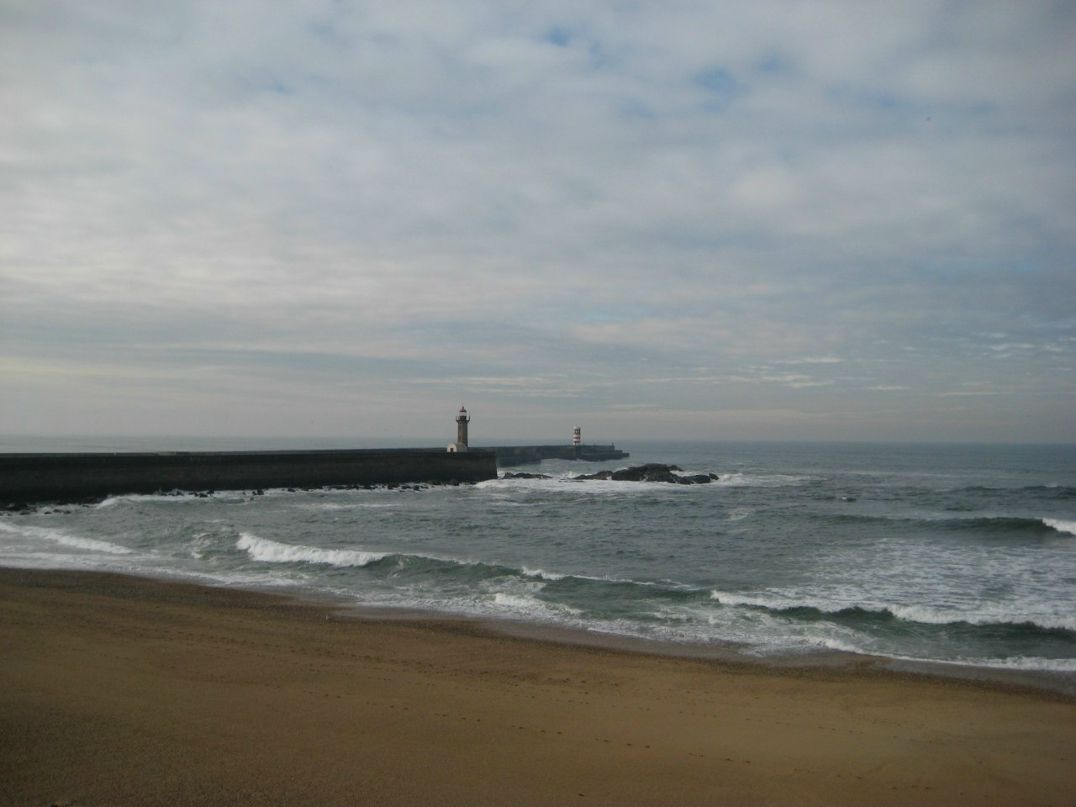 Алексей Шмахтенков | Санкт-Петербург