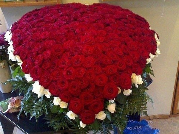 №6, Sveta Kisatoni №6, Sveta Kisatoni