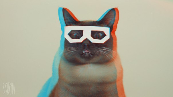 Илья Сироткин Человек | Gabú