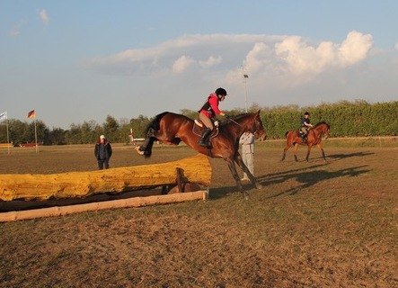 Евгения Высоцкая | Калуга