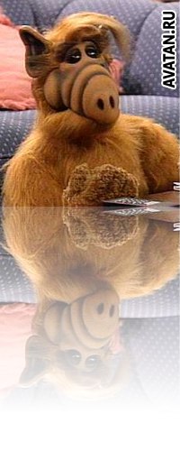 Евгений Горовой | Санкт-Петербург