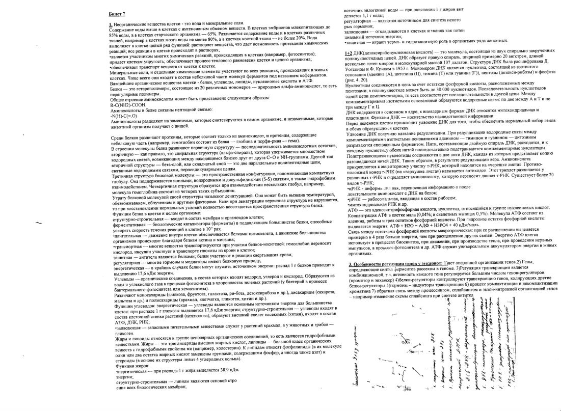 Дженнет Эседова | Москва